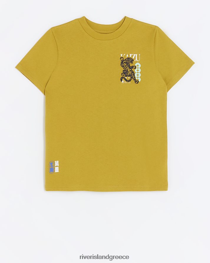 River Island ενδύματα κίτρινος αγόρια b γραφικό μπλουζάκι τίγρη B6N8X6784
