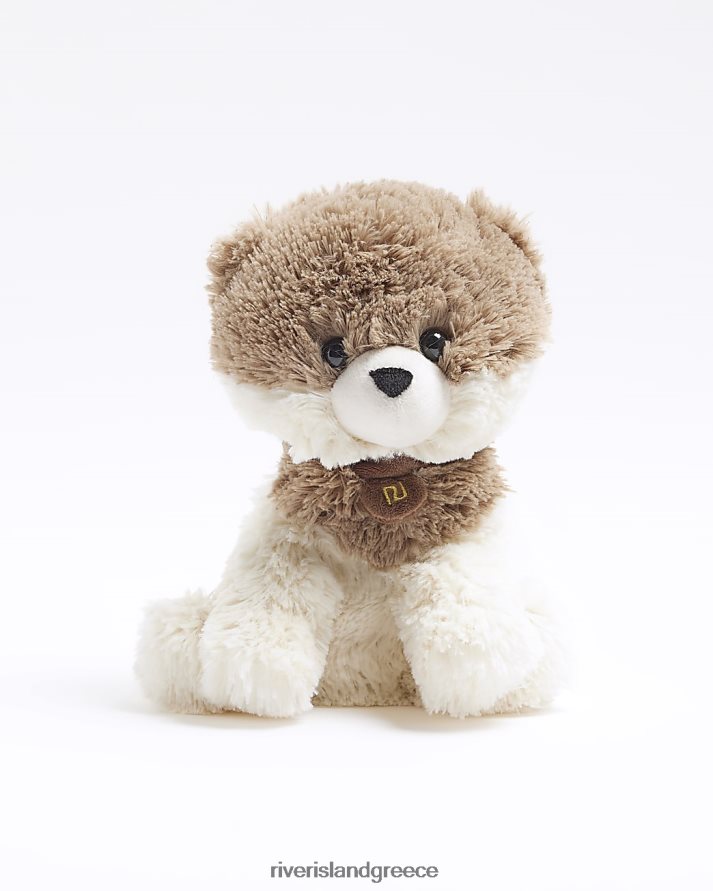 River Island αξεσουάρ μπεζ γυναίκες συσκευασία θερμότητας σκύλου B6N8X3894