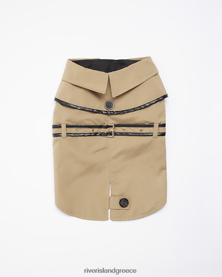 River Island αξεσουάρ καφέ γυναίκες καμπαρντίνα σκύλου B6N8X4067