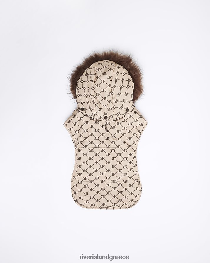 River Island αξεσουάρ καφέ γυναίκες ri μονόγραμμα παλτό σκύλου B6N8X4069